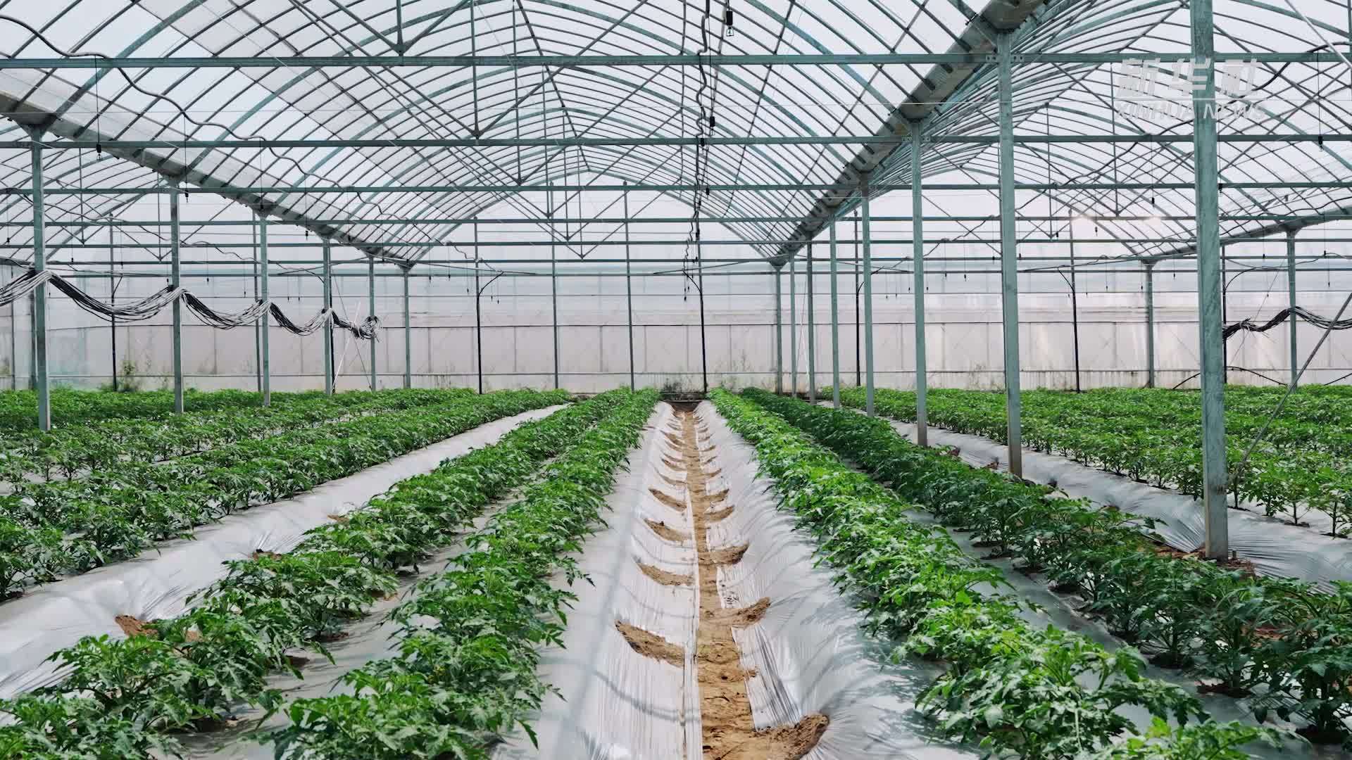 浙江金华：科技赋能 绘就“智慧春种”新图景