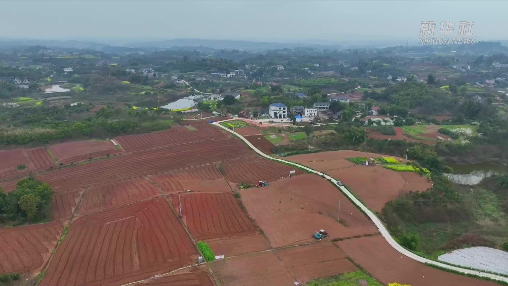 四川泸州：“滴滴农机”助春耕