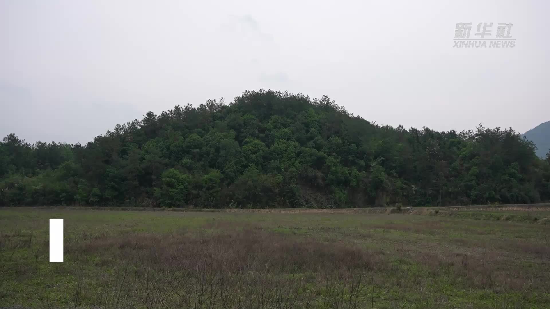 湖北阳新：抢抓窗口期 人工增雨为农作物“解渴”