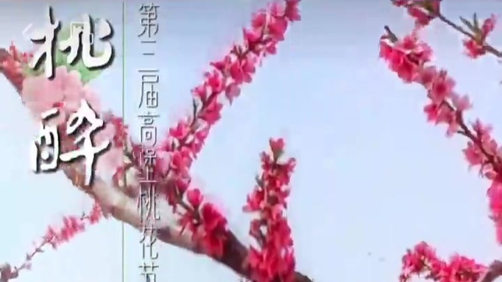 “桃”醉崆峒　春日Party与你“香”约