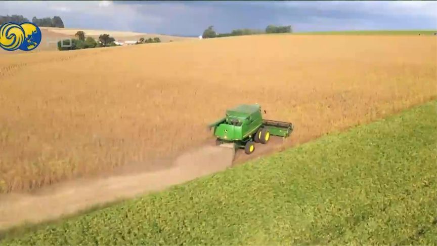 中国进口商大量采购巴西大豆，巴西业界：物流压力“爆棚”