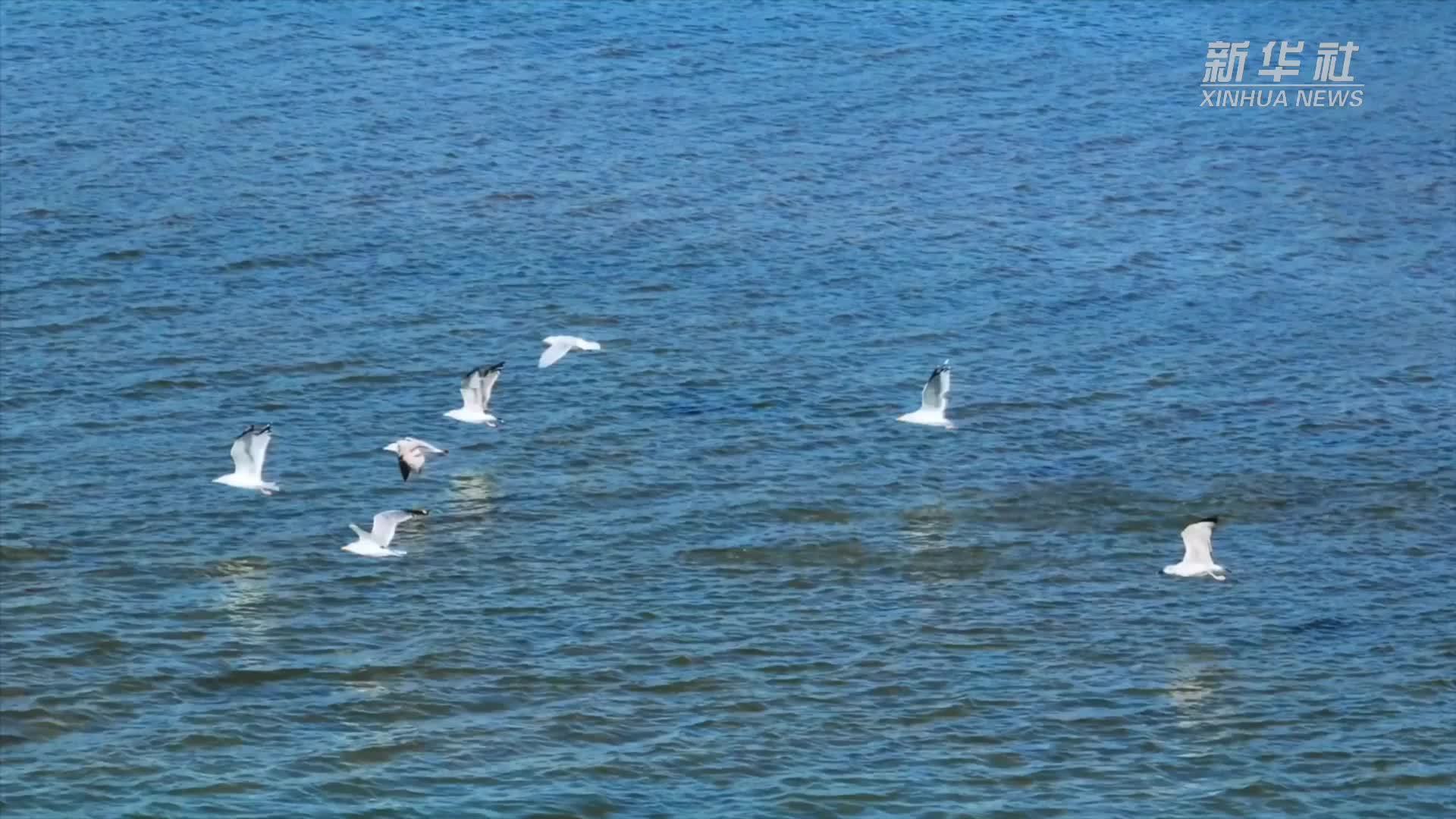 经济大省挑大梁｜打造北方地区经济重要增长极——山东推动高质量发展不断迈上新台阶