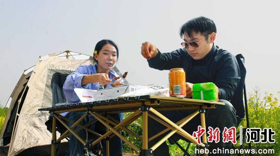 图为群众在油菜花海露营野炊。 牛锡涛 摄
