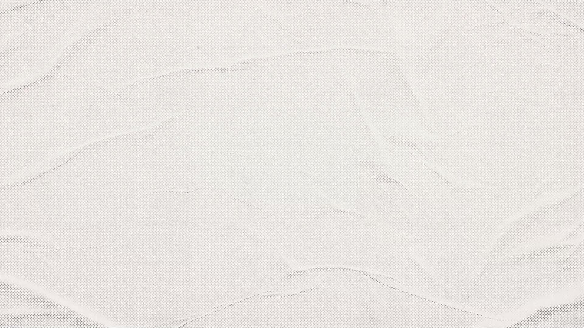 新时代中国调研行之文化中华｜寻味洛阳非遗美食