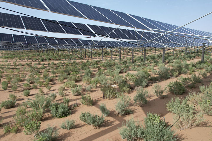 这是2024年7月9日拍摄的武威市凉州区20万千瓦立体光伏治沙产业化示范项目（无人机照片）　新华社记者　范培珅　摄
