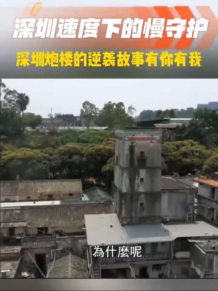 深圳速度下的慢守护 深圳炮楼的逆袭故事有你有我#人文社科 #人文历史 #深圳 #炮楼 #文物