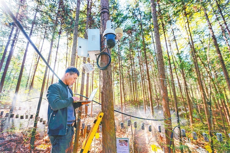 3月20日,广昌县旴江生态公益林场,工作人员在调试喷灌设备。