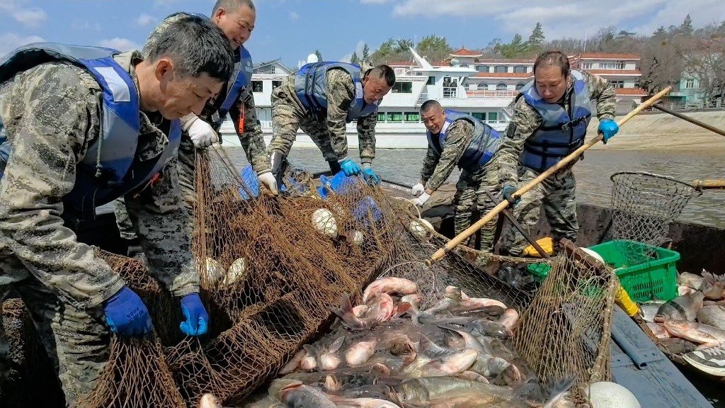 捕鱼现场