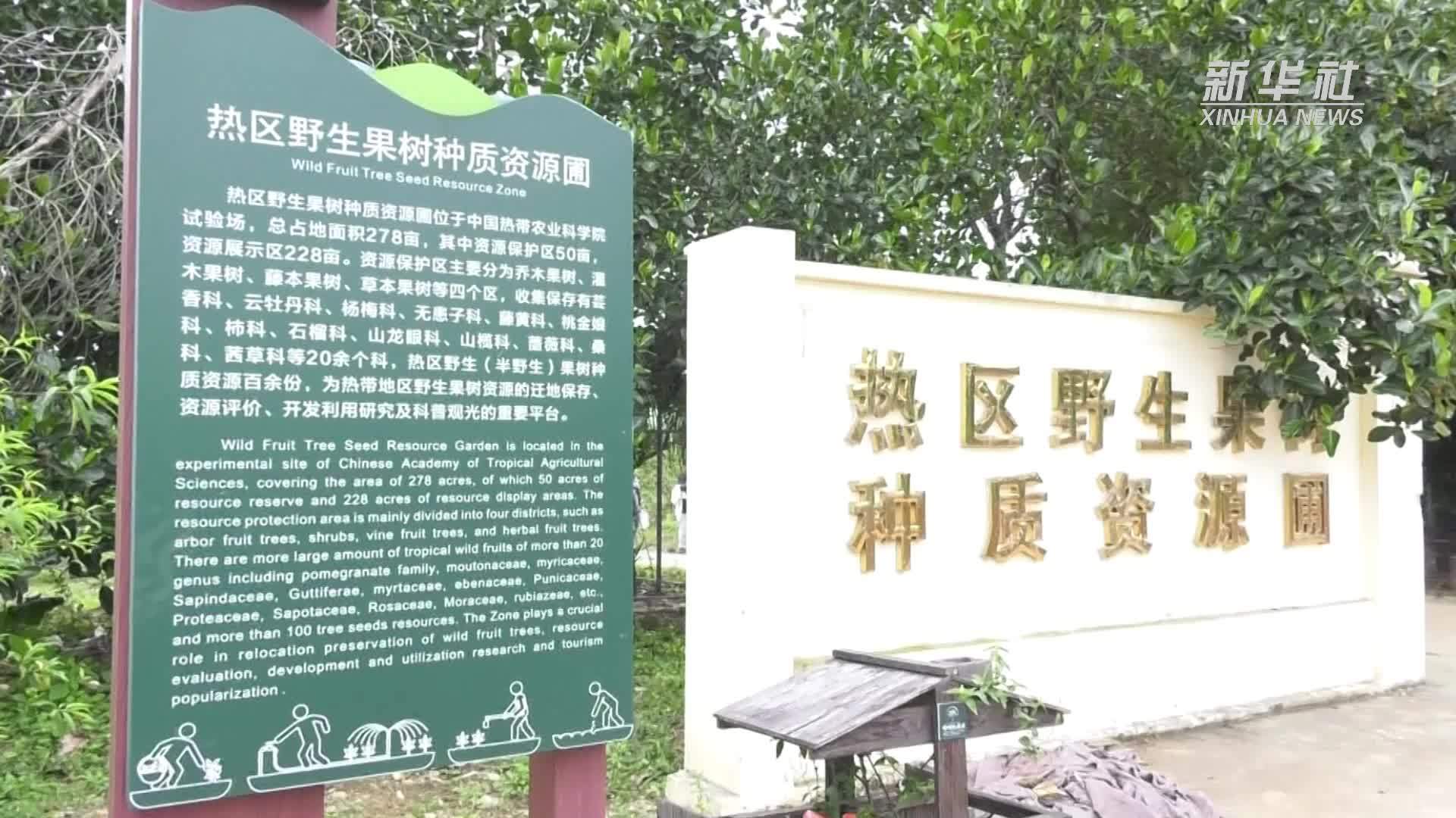 海南儋州：热带农科产业园打造农旅融合“网红样本”