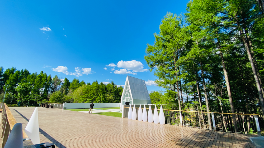 舒心度假，精彩森林——黑熊&middot;森林里度假区五一正式开园！