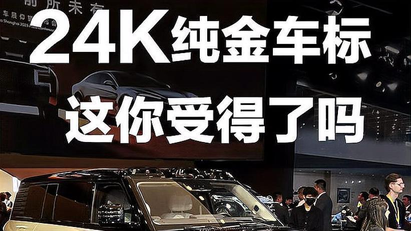 仰望U8L 24K纯金车标 这你受得了吗？