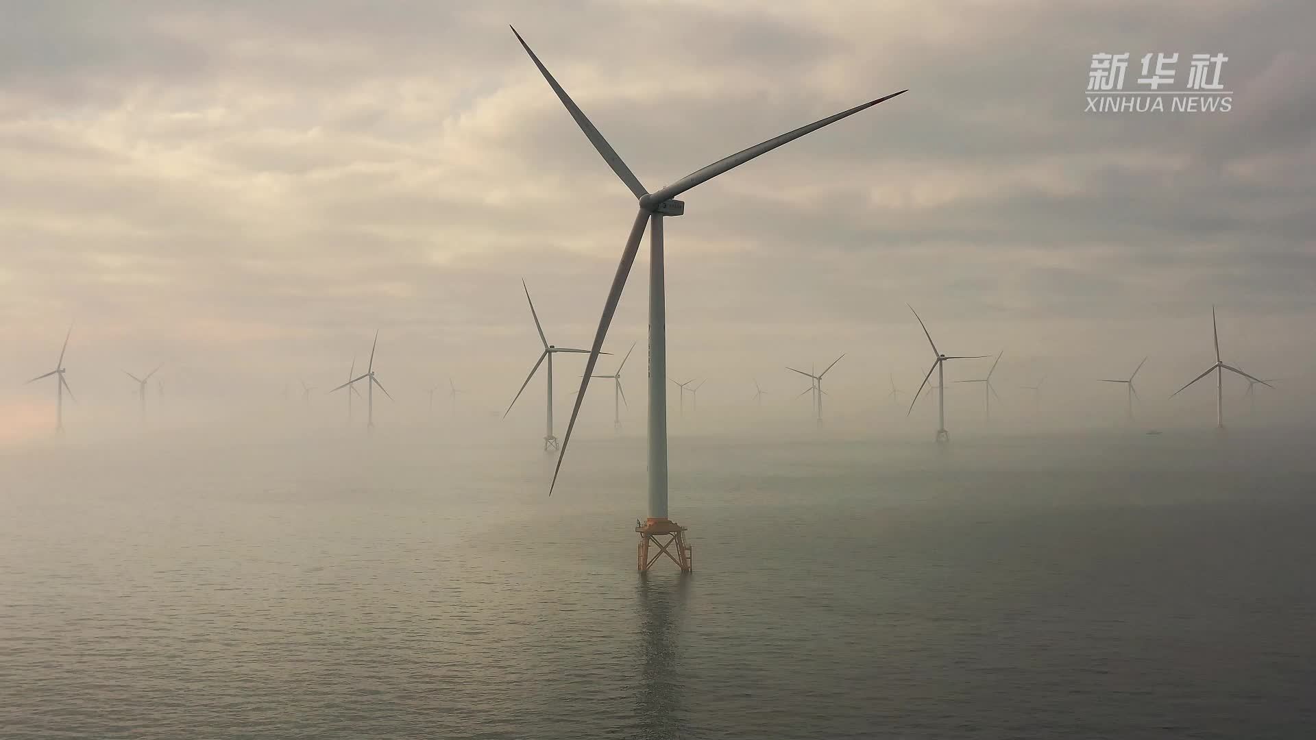 千城胜景｜广西防城港：海上风电森林