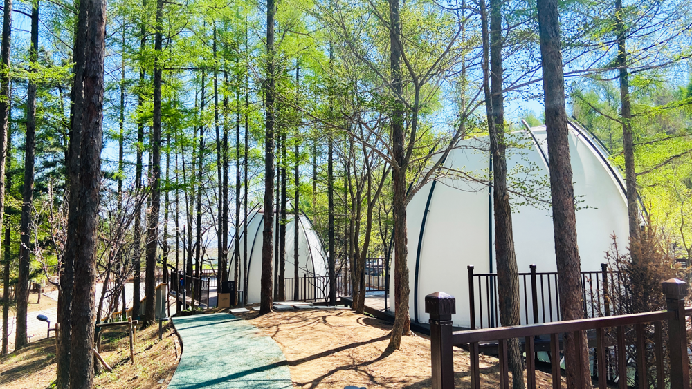 舒心度假，精彩森林——黑熊&middot;森林里度假区五一正式开园！