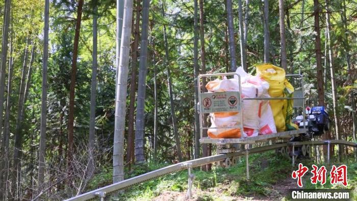 圖為銅鼓縣三都鎮大槽村，林農使用軌道運輸機將竹筍運到山下。銅鼓縣融媒體中心供圖
