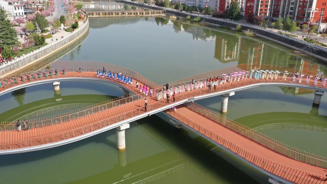 樱花树下站谁都美 在陇南邂逅春日浪漫
