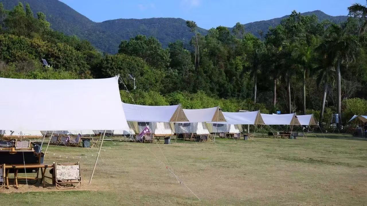来这里，接住整个春天