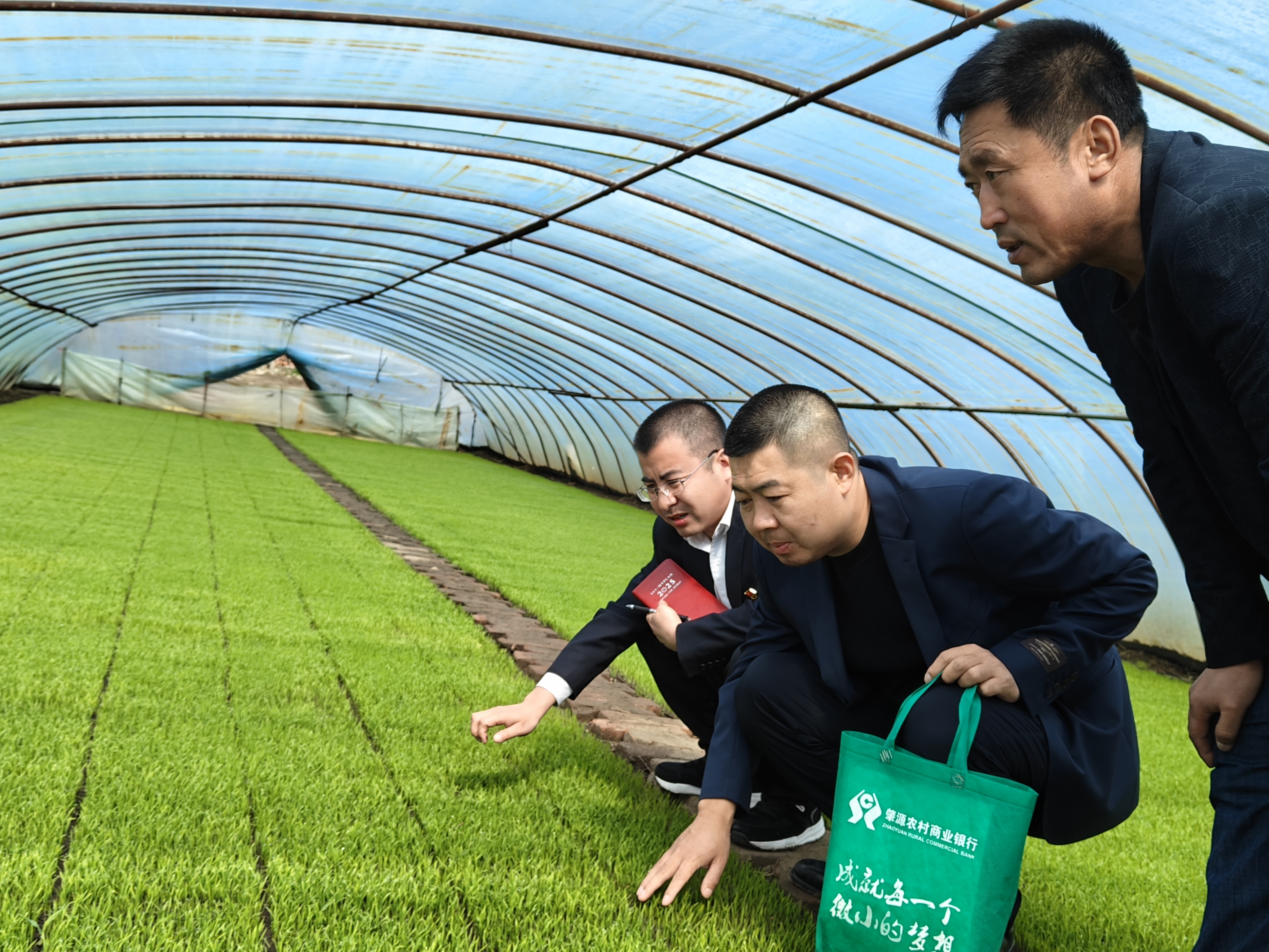 肇源农商银行二站支行信贷员入户了解水稻秧苗培育情况及生产周期