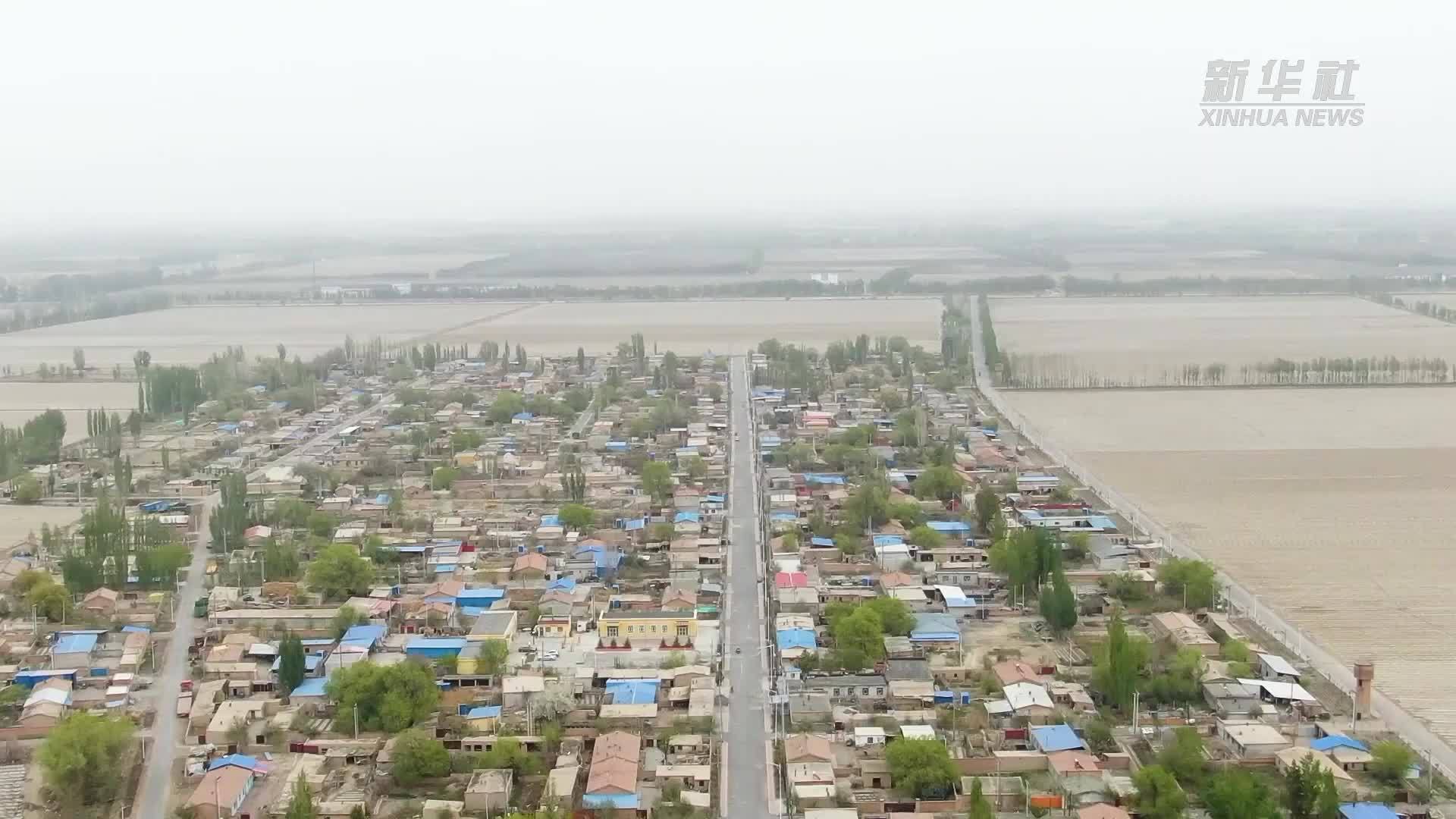 乡土地里的“农民发明家”