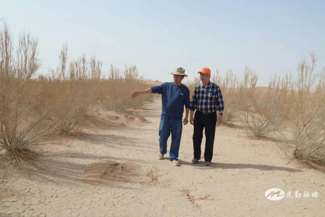 马俊河为徐宪清介绍梭梭林长势情况　吴苗　摄