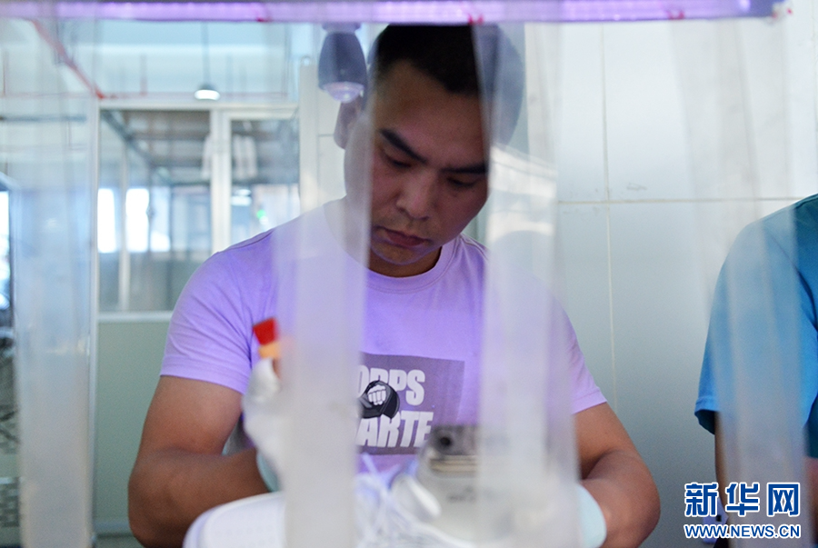 4月16日，河南睢县，一家制鞋企业的员工在工作。