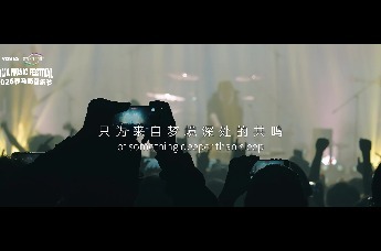 2025养马岛音乐节|城市歇梦中的回响