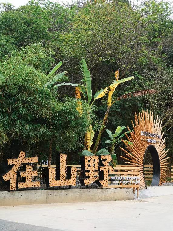 来这里，接住整个春天