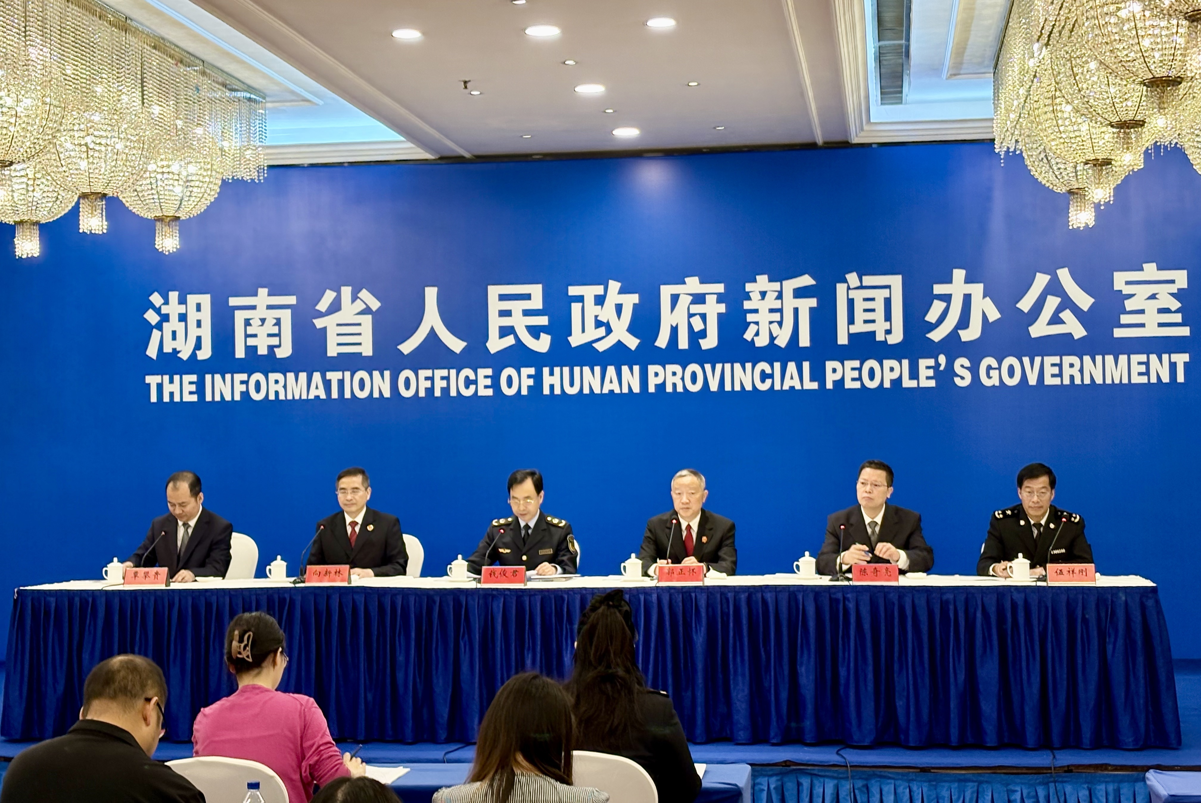 湖南省2024年度知识产权保护工作取得显著成效