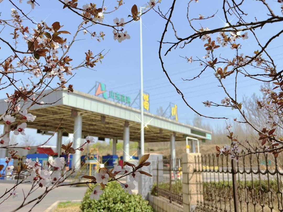 沿着高速看淄博 | 一条高速给“文旅+”带来的空间想象