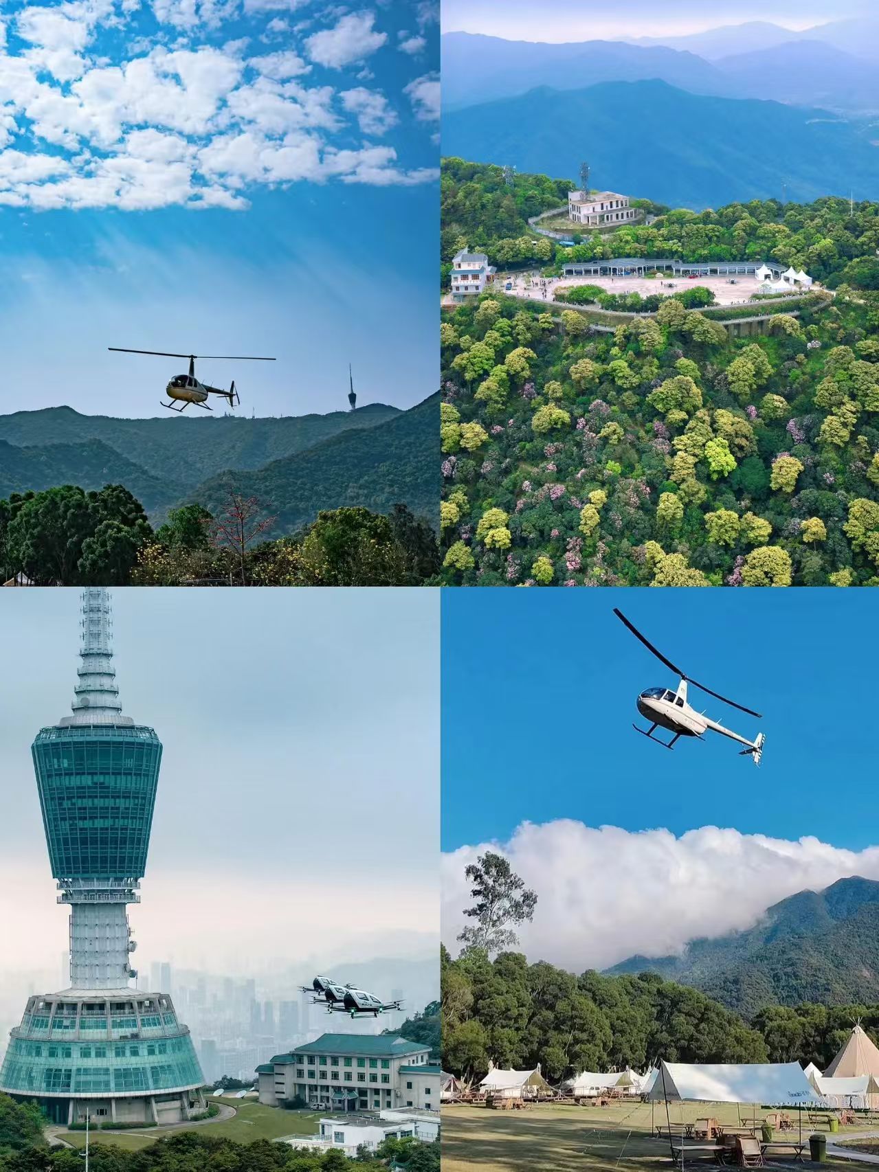 来这里，接住整个春天
