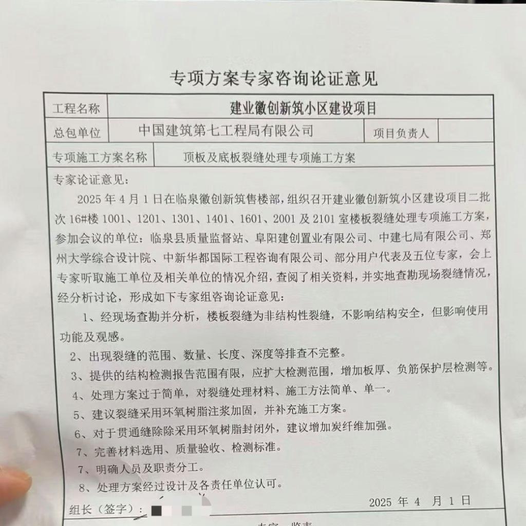专项方案专家咨询论证意见