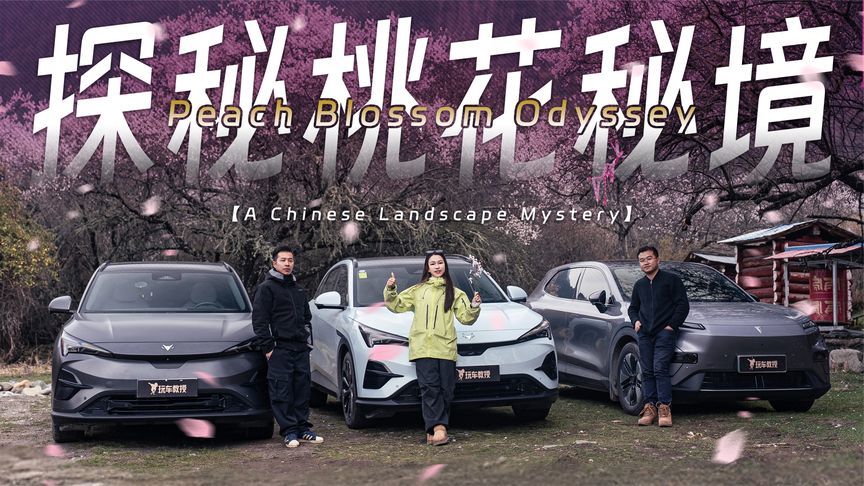 三车318奔袭1500公里探秘桃花源，19万公里T5老将仍战力满格？