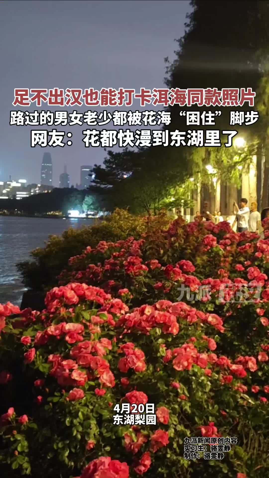 足不出汉也能打卡洱海同款照片，男女老少都被花海“困住”脚步，花都快漫到东湖里了
