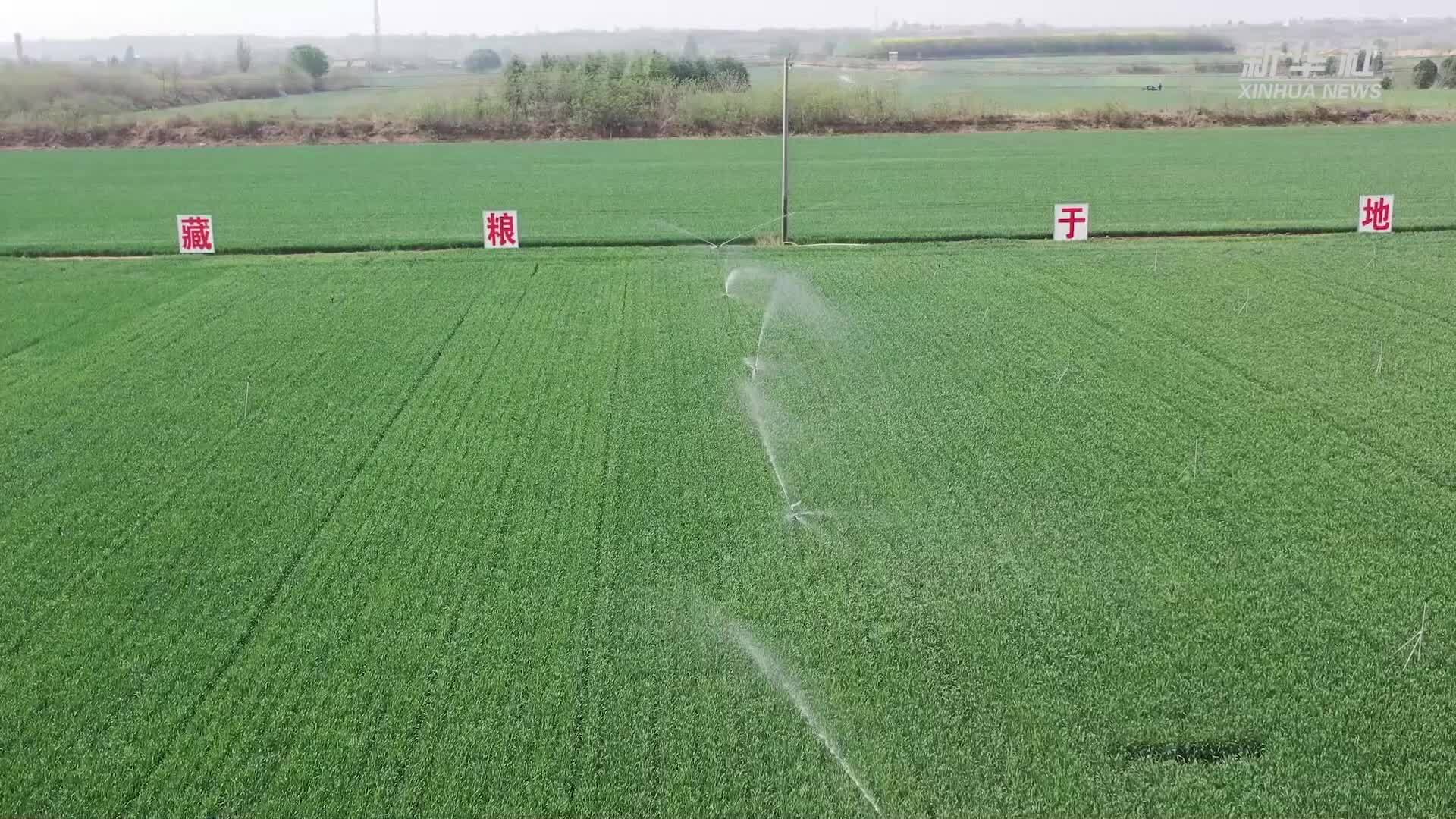 陕西：全力抗旱保苗 确保夏粮丰收