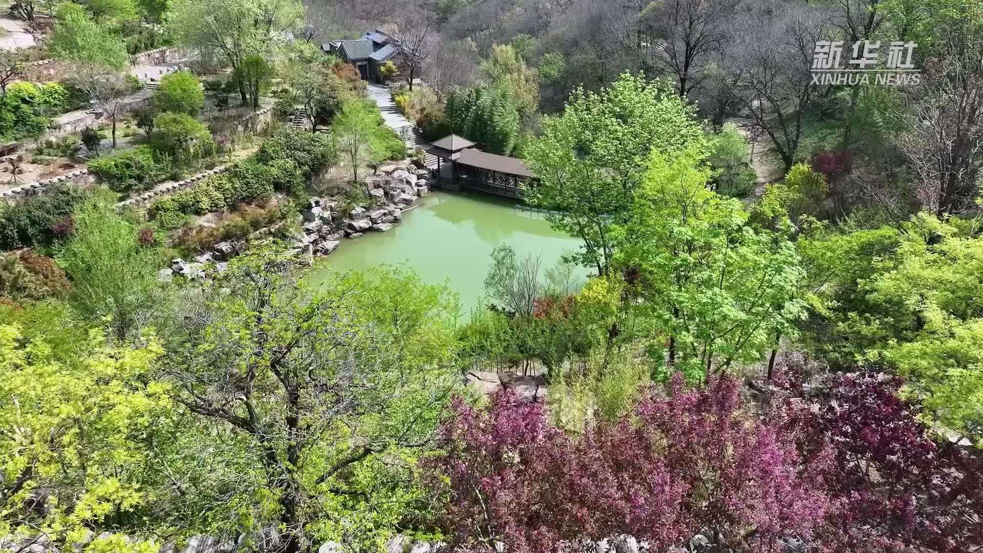 千城胜景｜枣庄山亭：春色漫山间