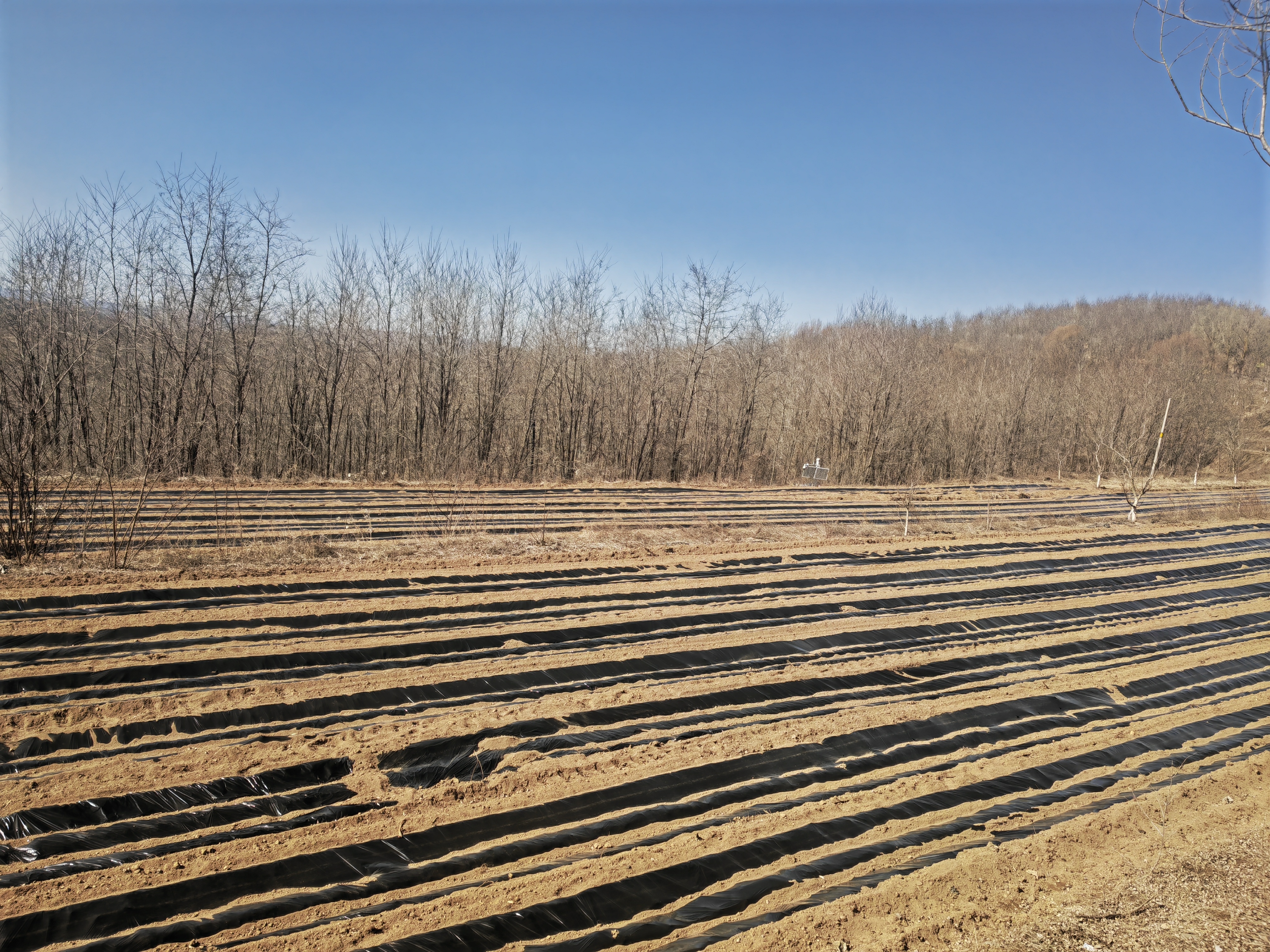 农资直通车送货到村　华亭田间地头铺上“银毯子”