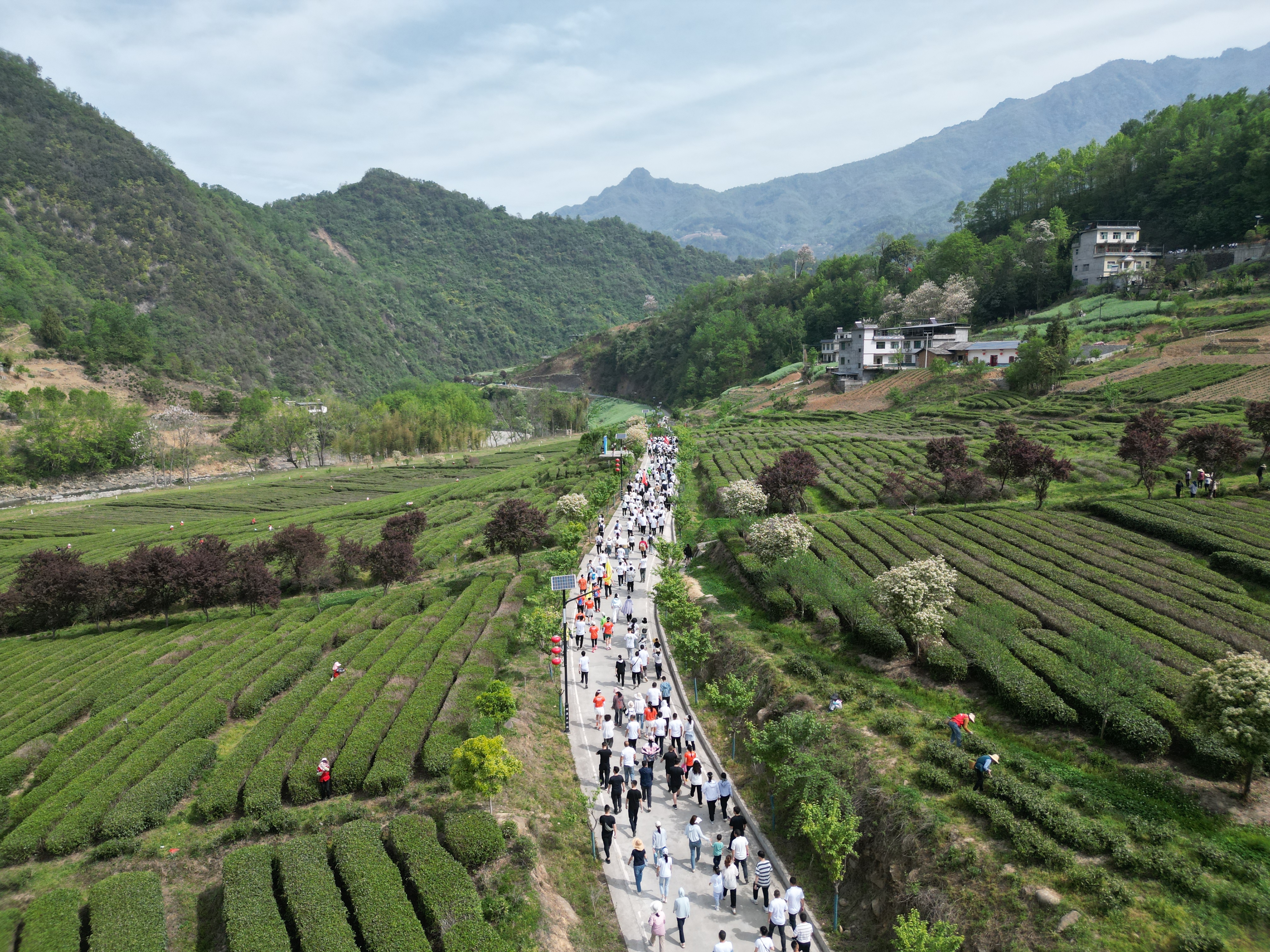 “南宫问道·武林大会”文体旅商活动将于4月30日开幕