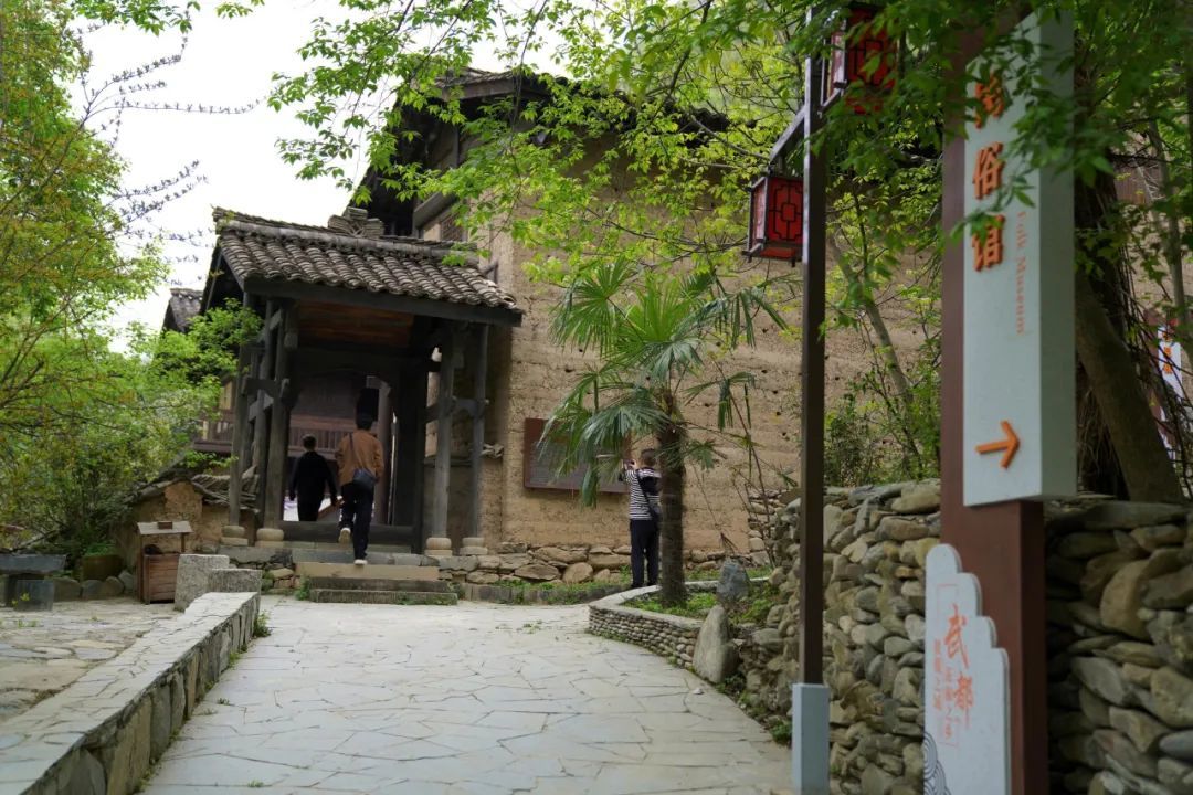 绿树环抱中的张坝古民居　刘建军　摄