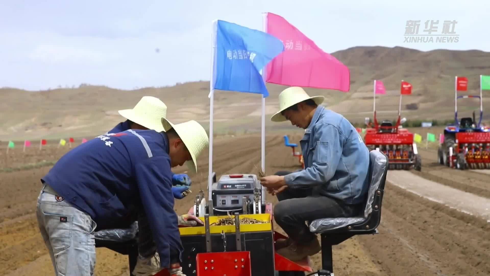 “千年药乡”的春耕科技范