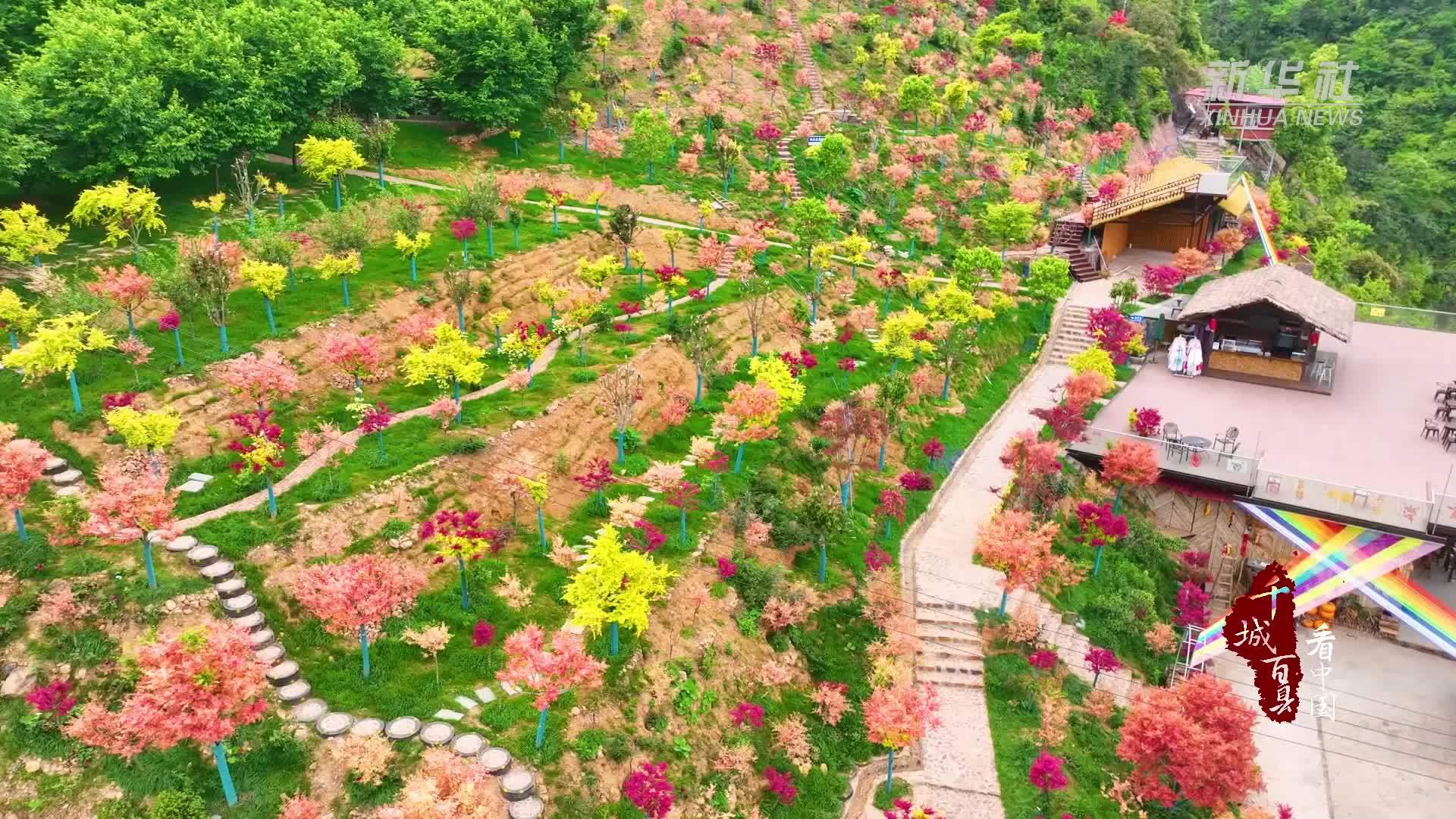 千城百县看中国｜湖南东安：春日“枫”景亦诗画