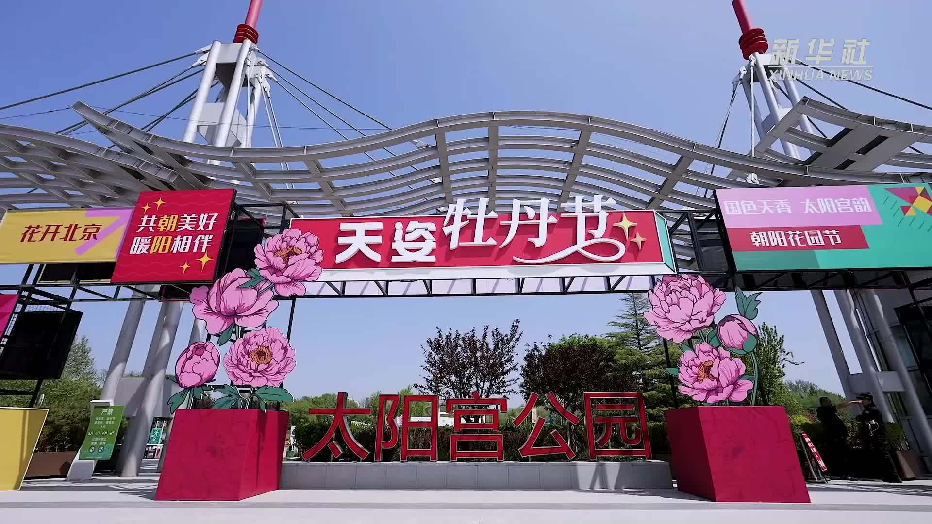花开似锦 北京这个公园化身“牡丹仙境”