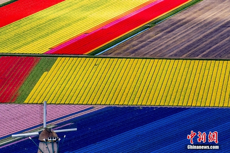 瞰！“云端”下的缤纷地球