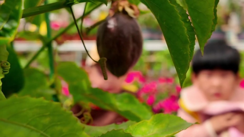 白银区萌娃化身小农夫　沉浸式get农业科技范