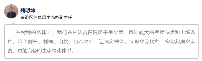“植”此青绿看白银区　有啥新变化