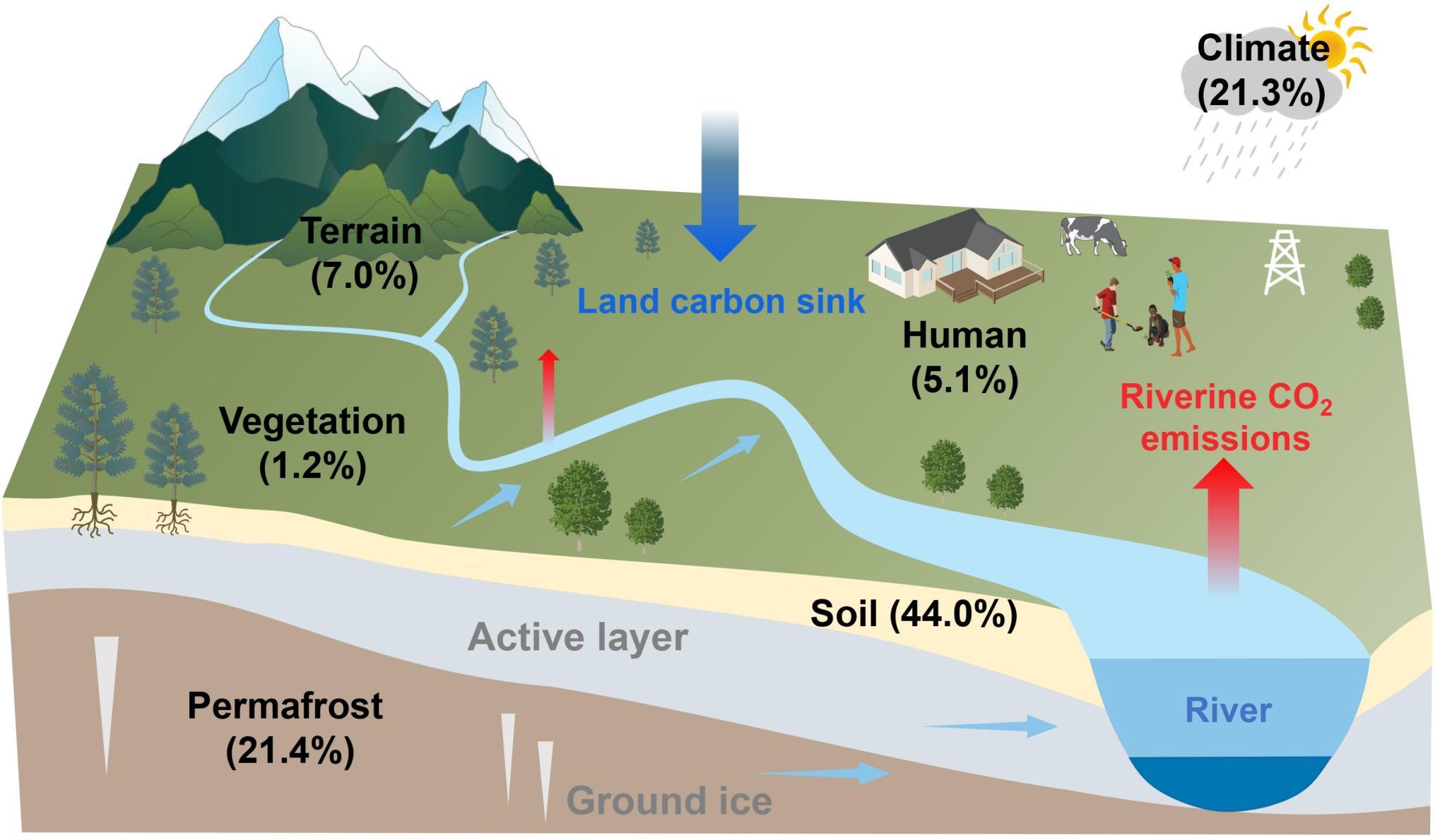 图1：北半球多年冻土区河流CO2排放的影响因素