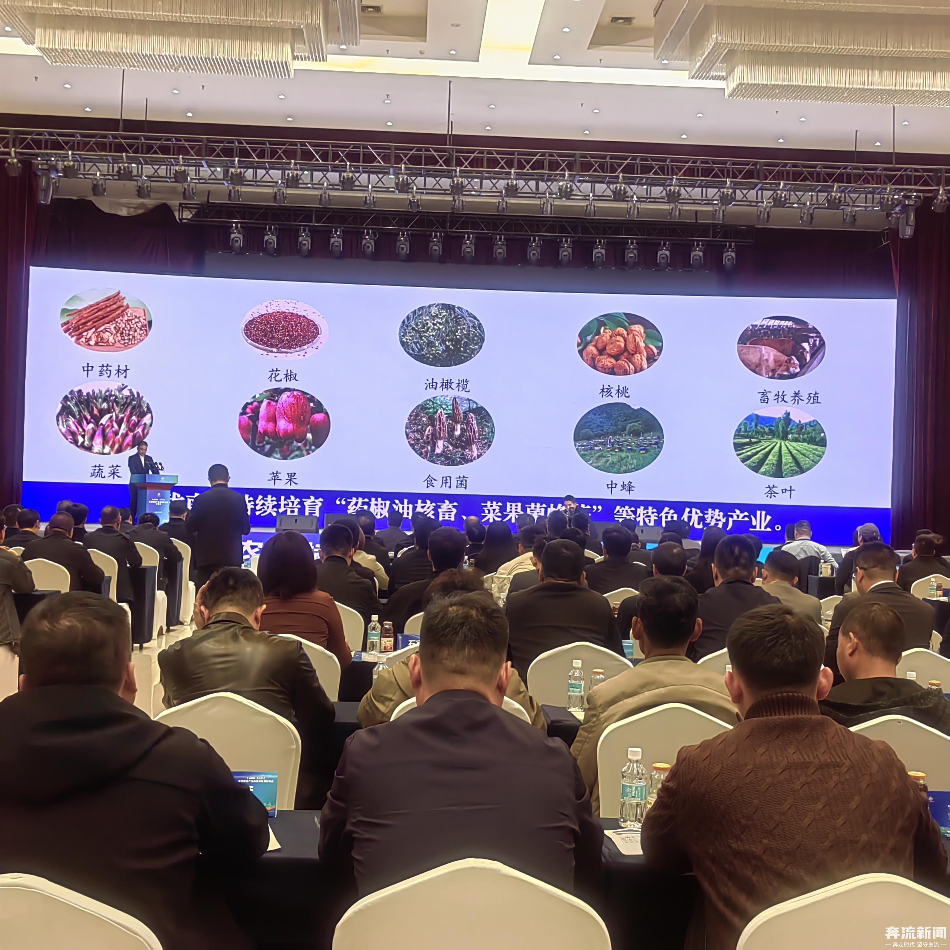 鲁企走进甘肃农业特色产业高质量发展对接会(40336099)-20250423210903.jpg