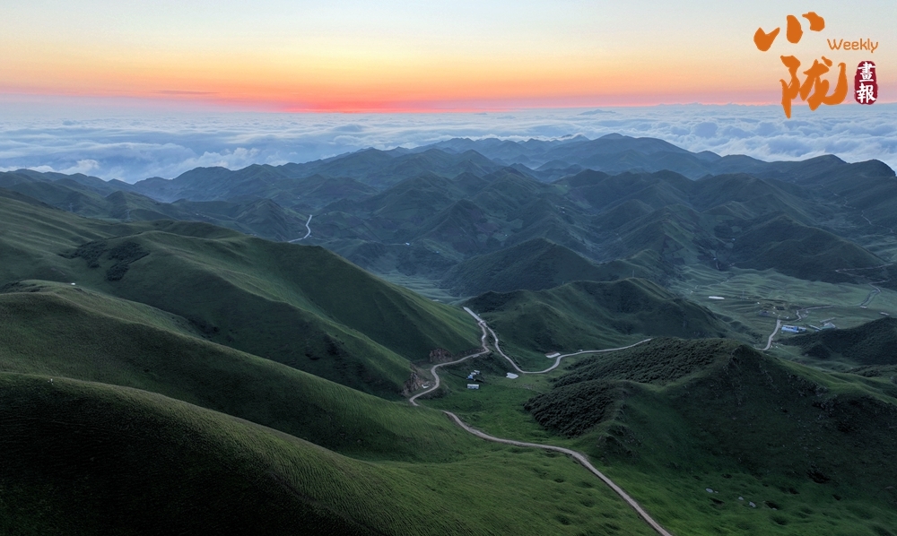 陇南千坝草原:诗意云雾 一派原始风光