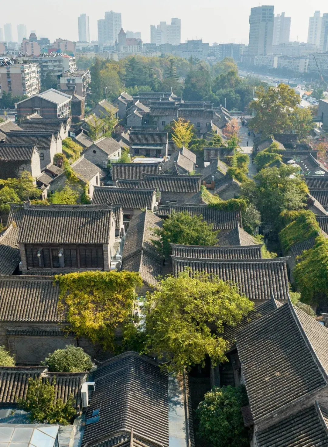 人文经济学里的“徐州密码”