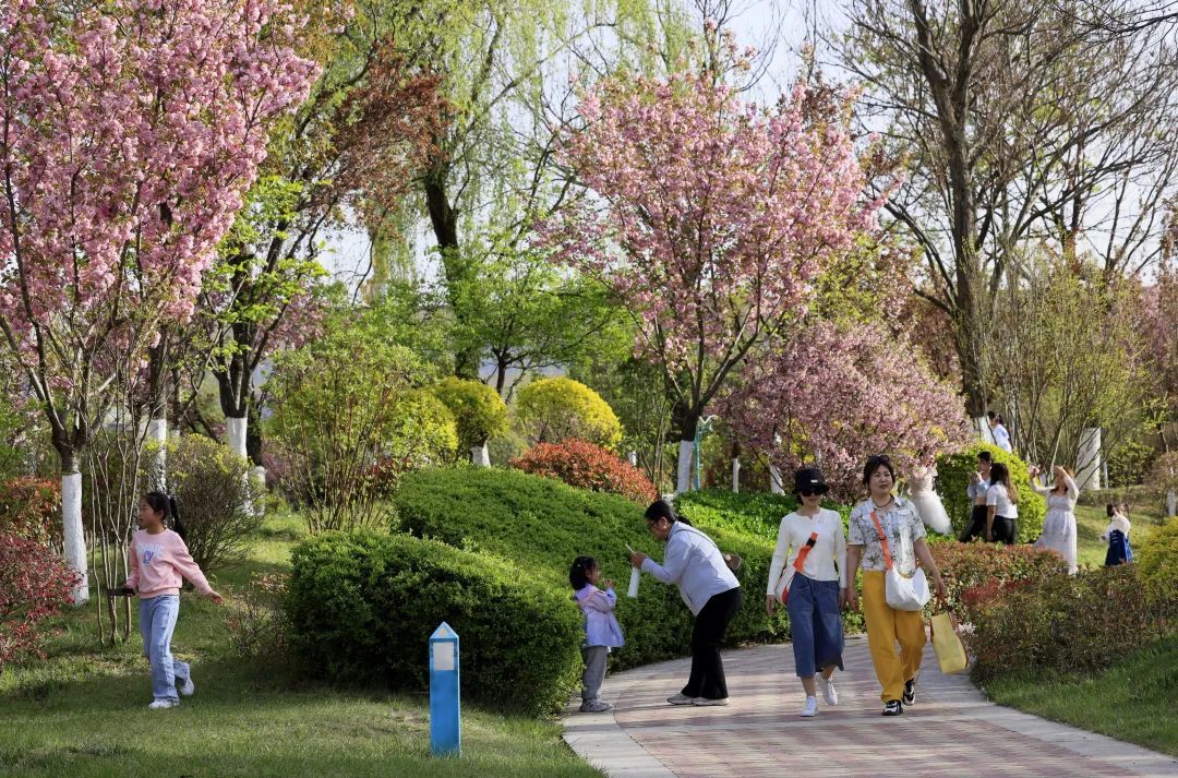 本组文图@冉创昌