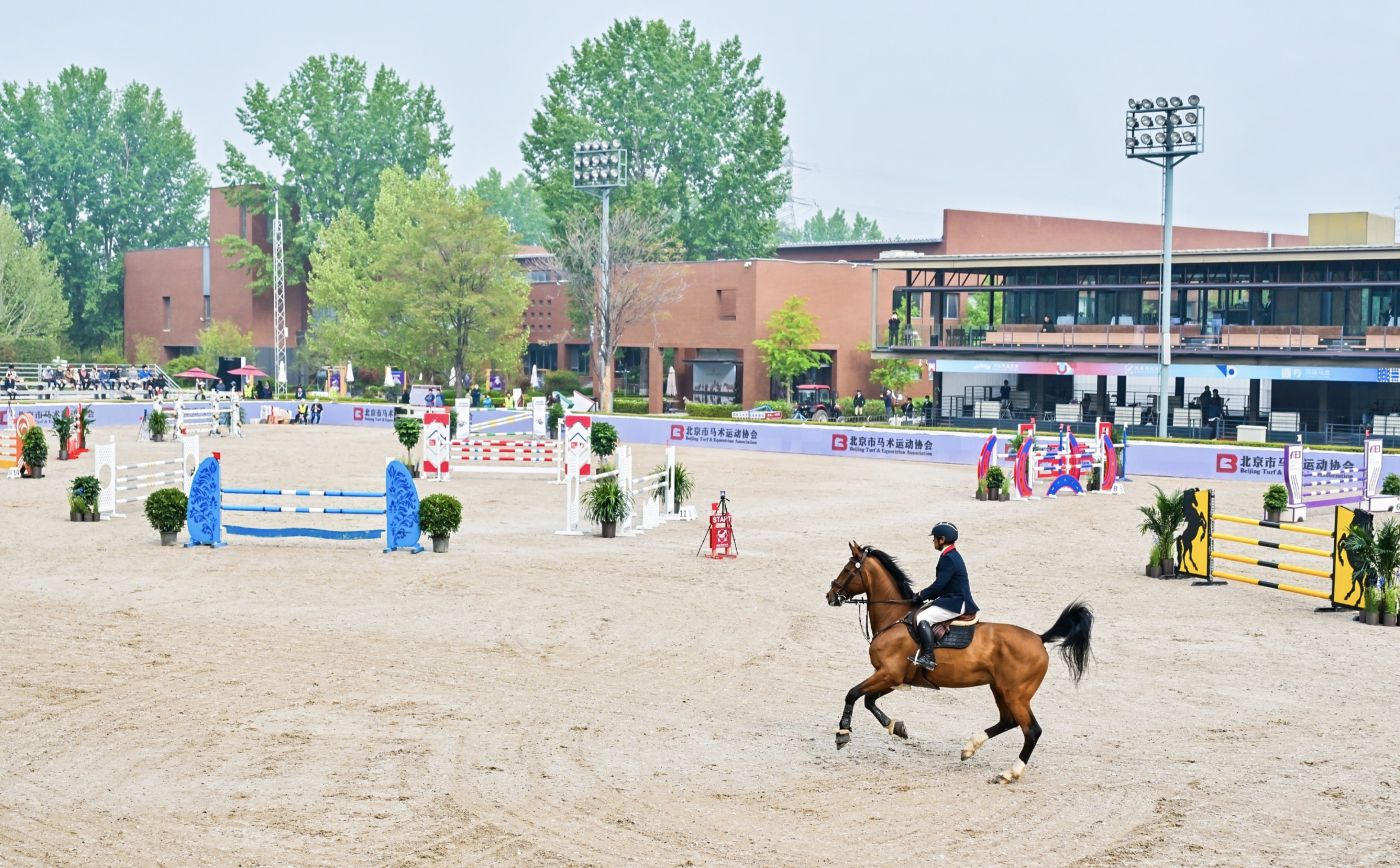 国际马术创意之春(北京)再度绽放 天星调良国际马术场地障碍赛提升城市区域经济活动