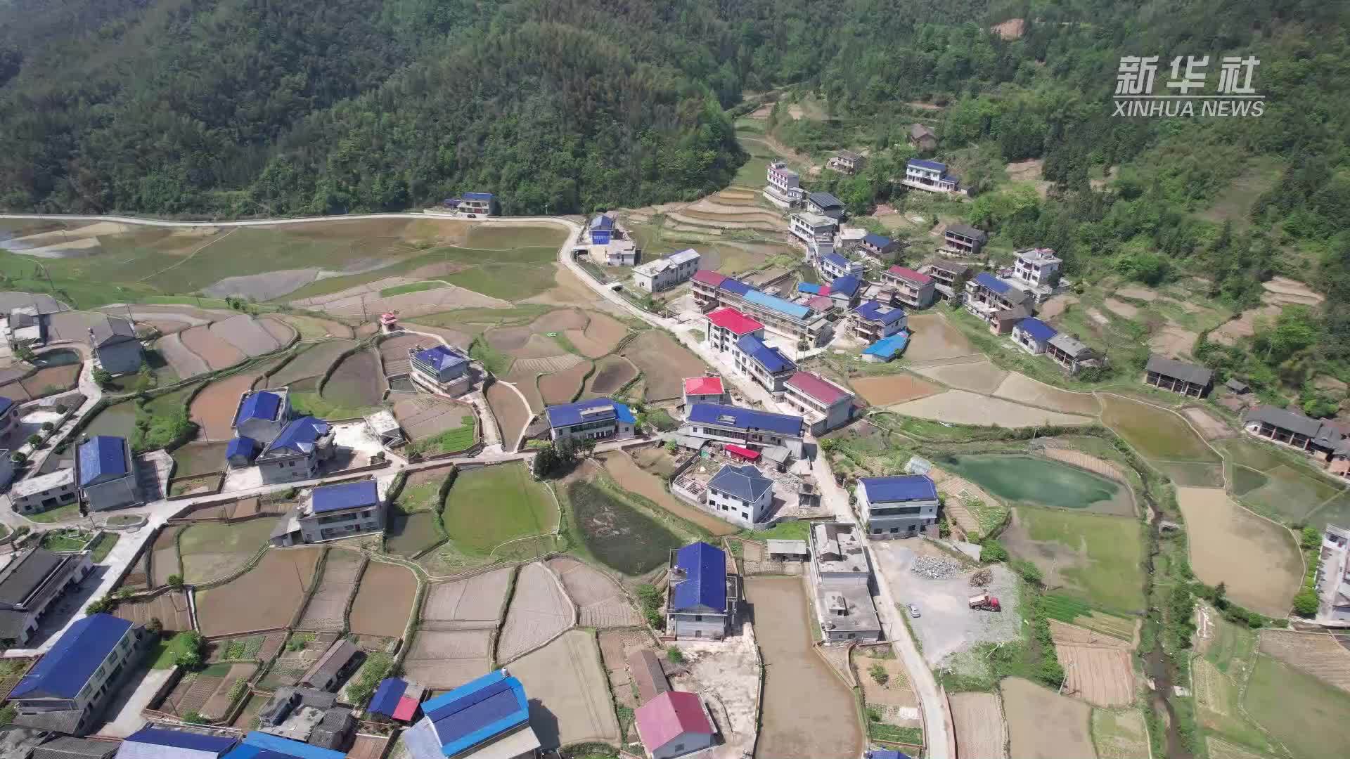 他们用四年时间带着农民创作了258首诗